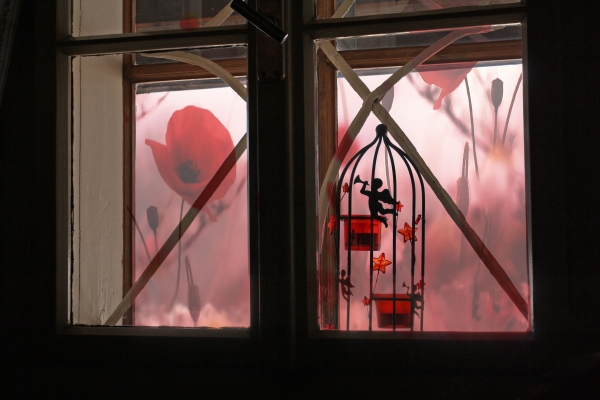Creation of Valentine Poppy's: Step 4